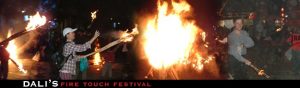 3115-dalifire-fest